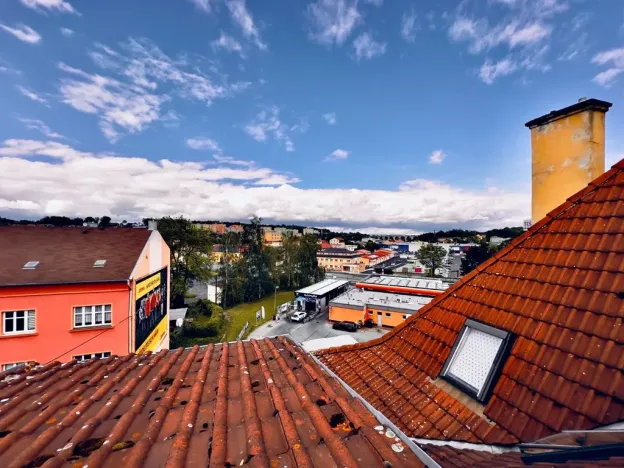 Pronájem bytu 1+kk, Cheb, Májová, 45 m2