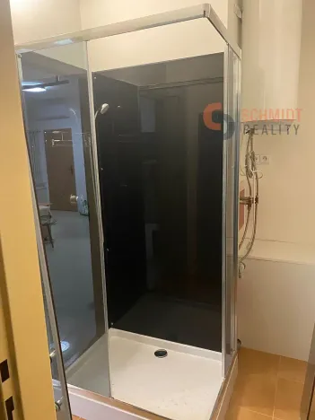 Pronájem bytu 1+kk, Hustopeče, Třebízského, 40 m2