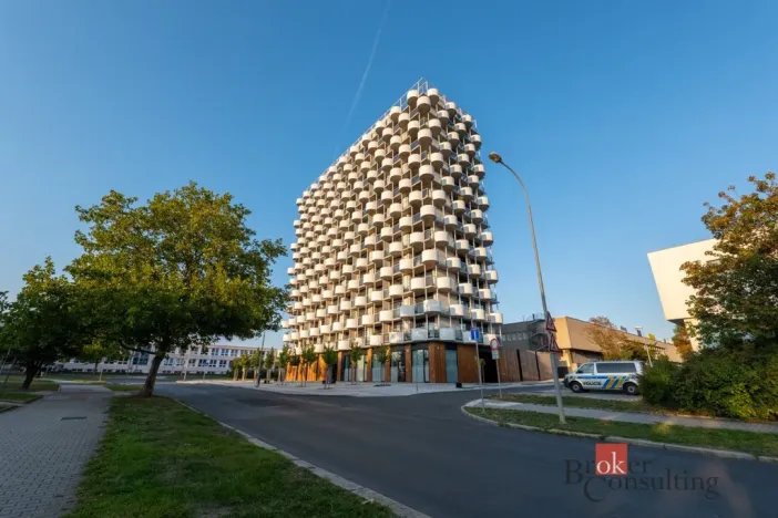 Prodej bytu 2+kk, Plzeň - Jižní Předměstí, U Borského parku, 56 m2