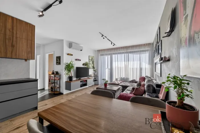 Prodej bytu 2+kk, Plzeň - Jižní Předměstí, U Borského parku, 56 m2