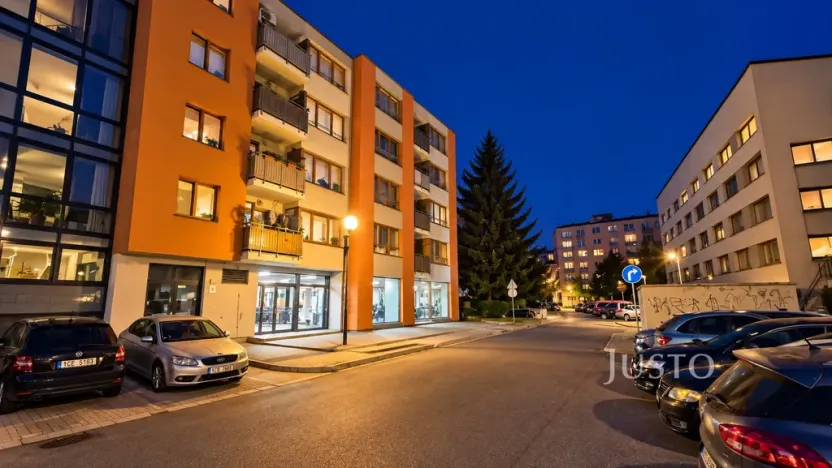 Prodej obchodního prostoru, Písek - Pražské Předměstí, V Portyči, 229 m2
