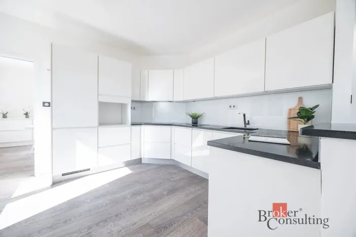 Prodej bytu 5+kk, Praha - Hodkovičky, Údolní, 135 m2