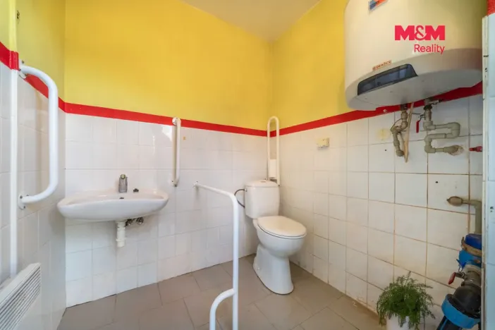 Prodej obchodního prostoru, Chudenín - Uhliště, 203 m2