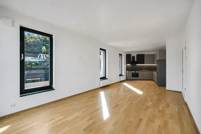 Pronájem bytu 2+kk, Praha - Karlín, Švarcova, 51 m2