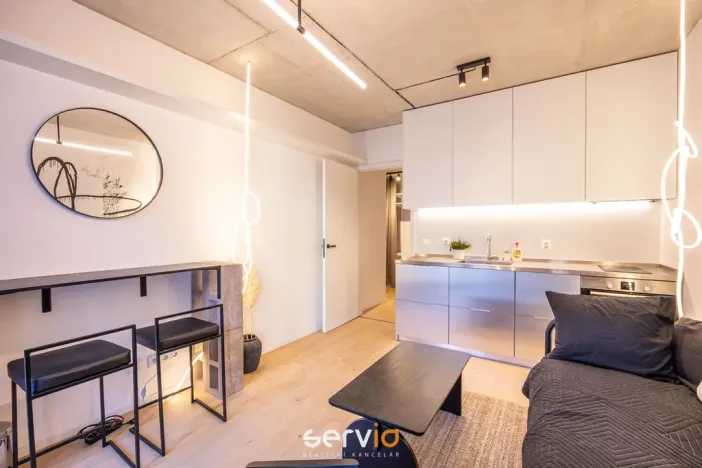 Pronájem bytu 1+kk, Brno, Bratislavská, 26 m2