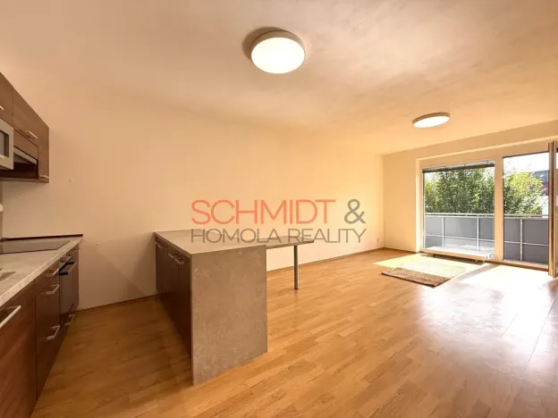 Pronájem bytu 2+kk, Brno - Žabovřesky, Sochorova, 53 m2