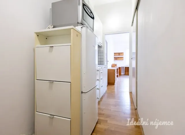 Pronájem bytu 1+kk, Praha - Žižkov, Biskupcova, 29 m2
