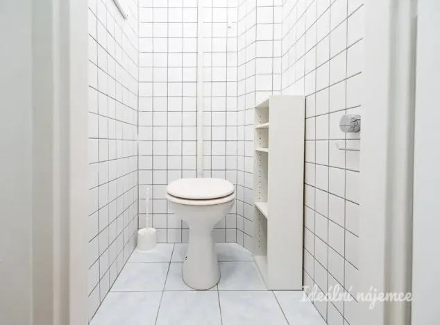 Pronájem bytu 1+kk, Praha - Žižkov, Biskupcova, 29 m2