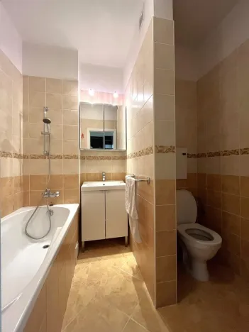 Prodej bytu 2+1, Plzeň - Východní Předměstí, Krejčíkova, 62 m2