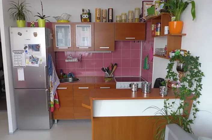 Pronájem bytu 2+kk, Liberec, Halasova, 43 m2