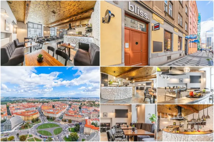 Pronájem restaurace, Praha - Bubeneč, Čs. armády, 133 m2