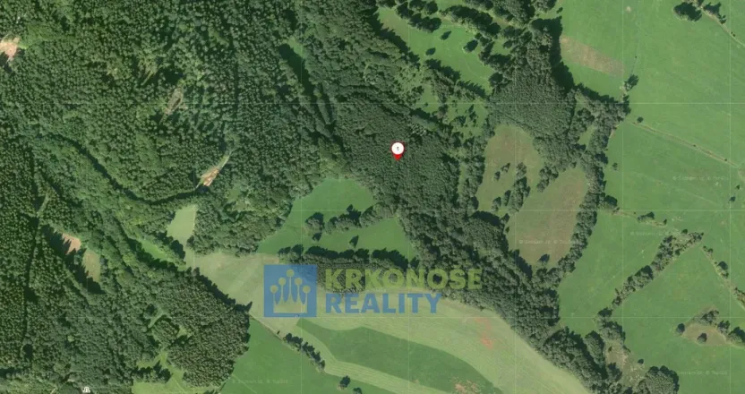 Prodej lesa, Trutnov - Babí, 44299 m2