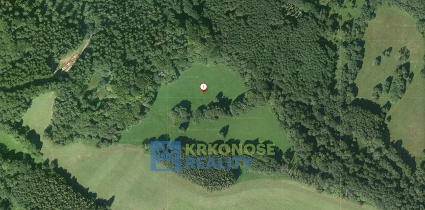Prodej lesa, Trutnov - Babí, 44299 m2