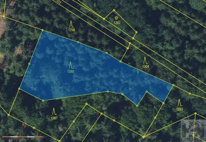 Prodej lesa, 2272 m², Paseky nad Jizerou