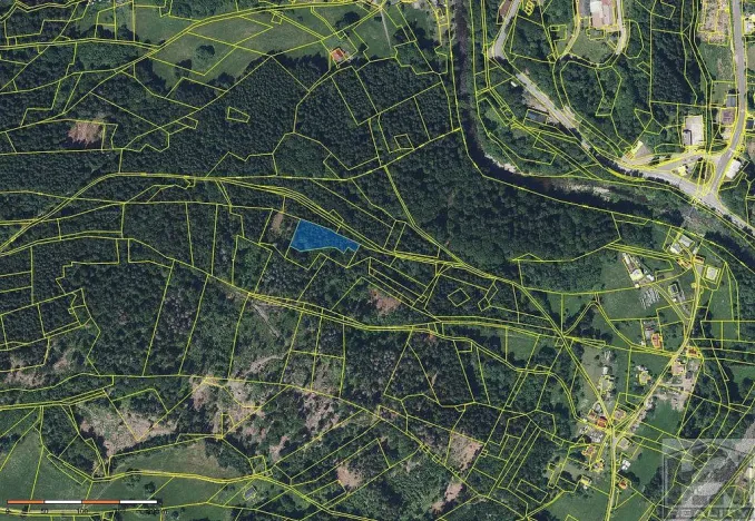 Prodej lesa, Paseky nad Jizerou, 2272 m2