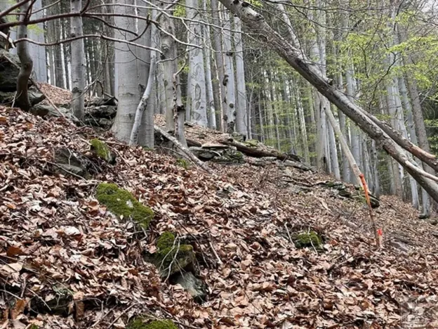 Prodej louky, Paseky nad Jizerou, 3303 m2