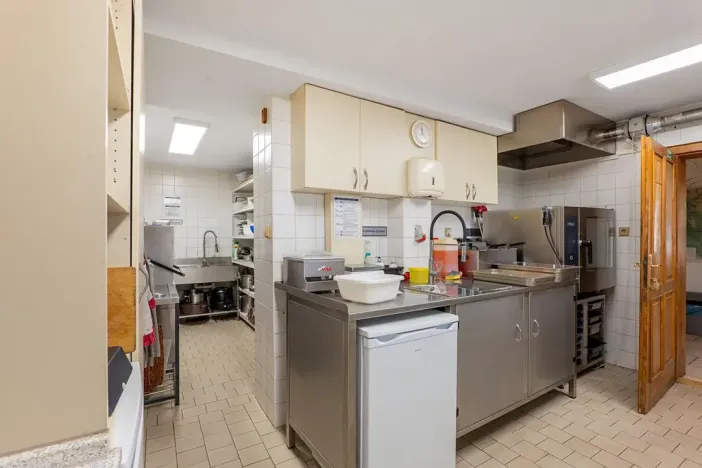 Prodej ubytování, Bartošovice v Orlických horách, 500 m2