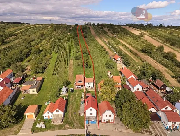 Prodej vinného sklepa, Mutěnice, Slovácká, 164 m2