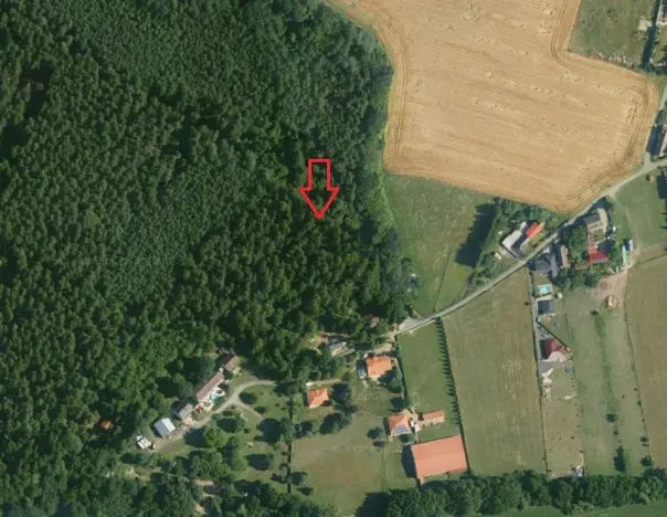 Prodej lesa, Doubek, 15479 m2