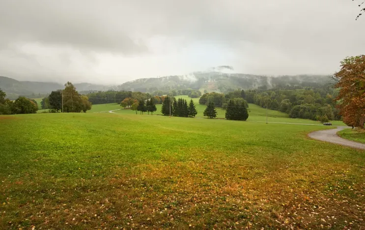 Prodej pozemku, Machov, 15555 m2