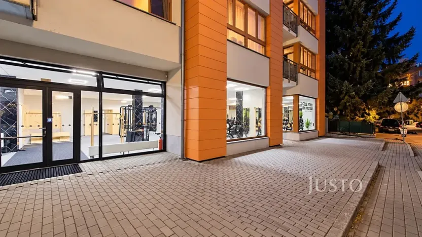 Prodej obchodního prostoru, Písek, V Portyči, 229 m2