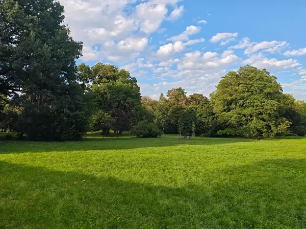 Pronájem bytu 2+1, Brno, Antonínská, 64 m2