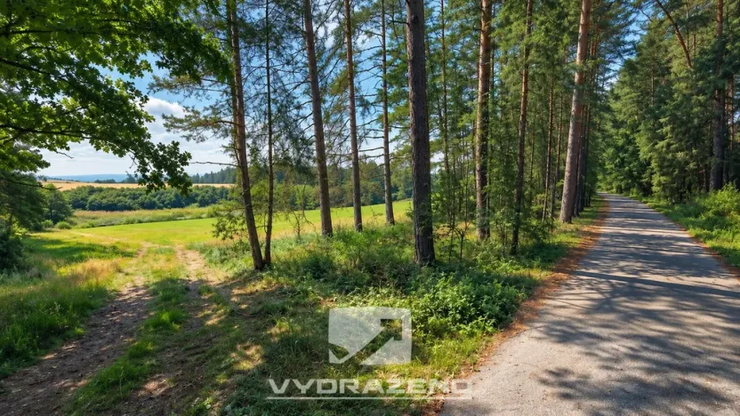 Prodej louky, Chrášťany, 1726 m2