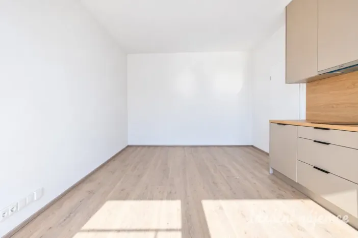 Pronájem bytu 1+kk, Brno - Trnitá, Křenová, 40 m2