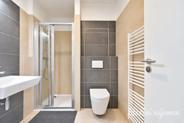 Pronájem bytu 1+kk, Brno - Trnitá, Křenová, 40 m2