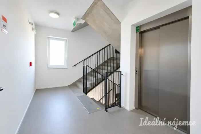 Pronájem bytu 1+kk, Brno - Trnitá, Křenová, 40 m2