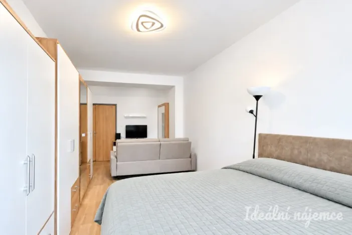 Pronájem bytu 2+1, Brno - Štýřice, Renneská třída, 54 m2