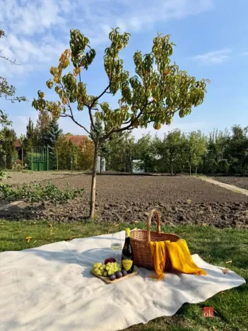 Prodej zahrady, Podivín, 401 m2