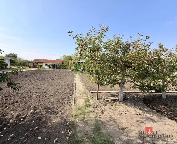 Prodej zahrady, Podivín, 401 m2