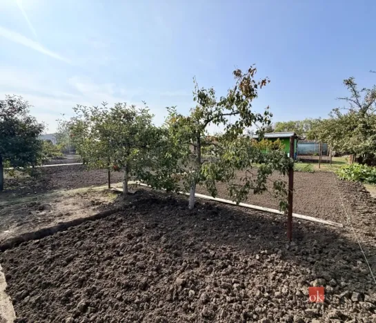 Prodej zahrady, Podivín, 401 m2