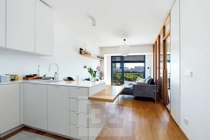 Prodej bytu 2+kk, Praha - Holešovice, V háji, 46 m2