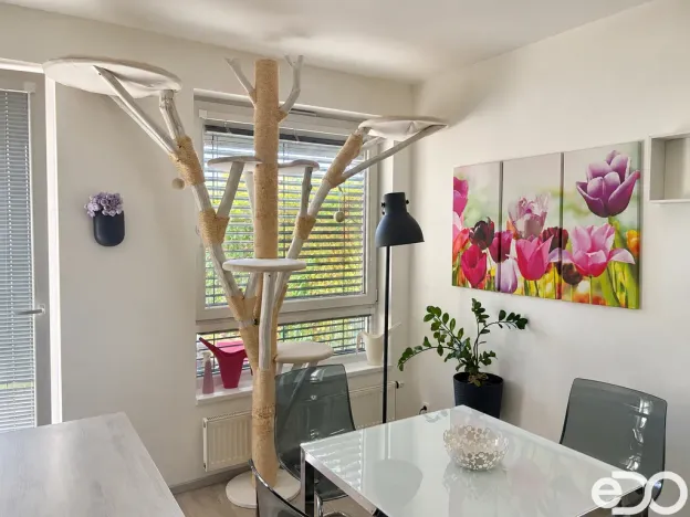 Pronájem bytu 2+kk, Praha, Václava Trojana, 54 m2