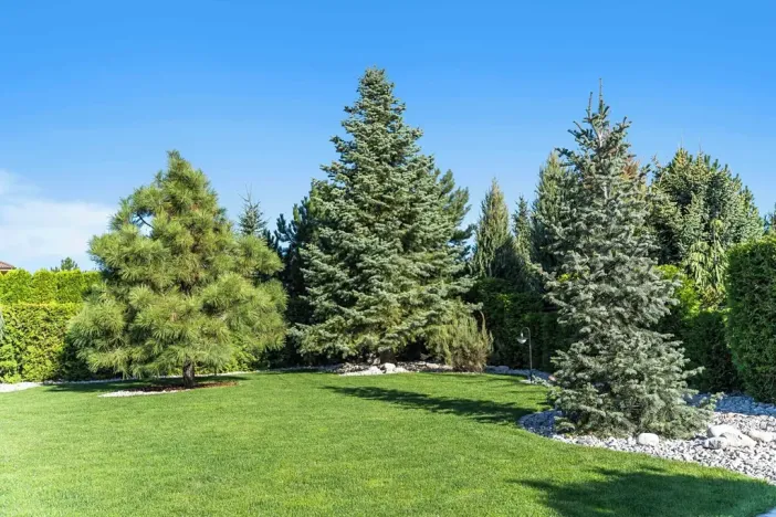 Prodej rodinného domu, Velké Přítočno, Sluneční, 350 m2