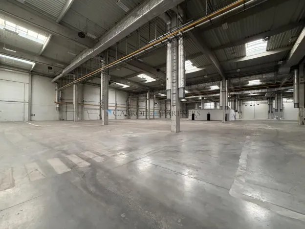 Pronájem výrobních prostor, Ostrava - Kunčičky, Lihovarská, 6000 m2