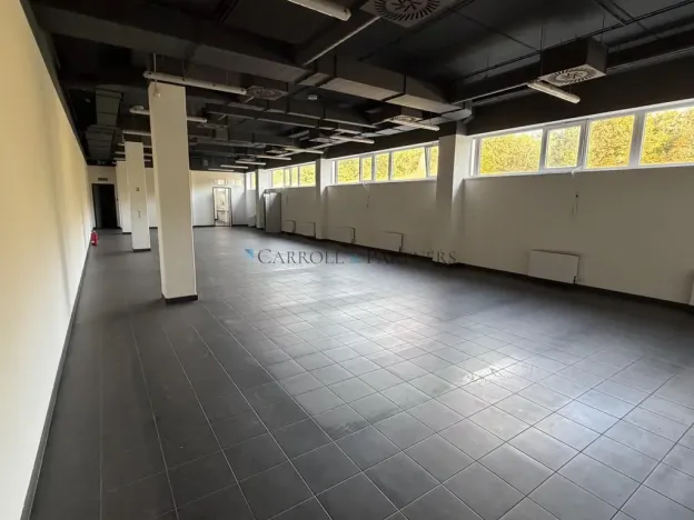 Pronájem výrobních prostor, Ostrava - Kunčičky, Lihovarská, 5700 m2