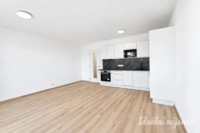 Pronájem bytu 1+kk, Brno - Horní Heršpice, Jižní, 42 m2