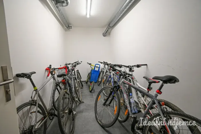 Pronájem bytu 1+kk, Brno - Horní Heršpice, Jižní, 42 m2