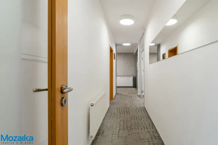 Prodej rodinného domu, Brno - Dolní Heršpice, Jižní náměstí, 340 m2