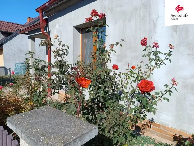 Pronájem rodinného domu, Trnava, 160 m2