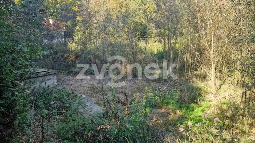Prodej rybníku, Halenkovice, 2136 m2