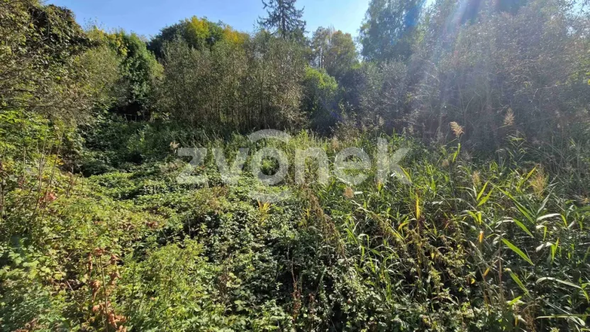 Prodej rybníku, Halenkovice, 2136 m2