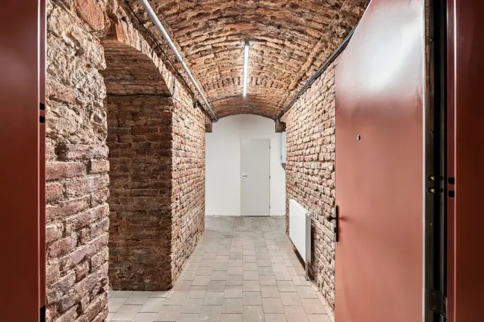 Pronájem nemovitosti, 38 m², Sezimova, Praha, Nusle