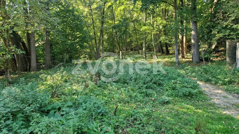 Prodej pozemku, Halenkovice, 3756 m2