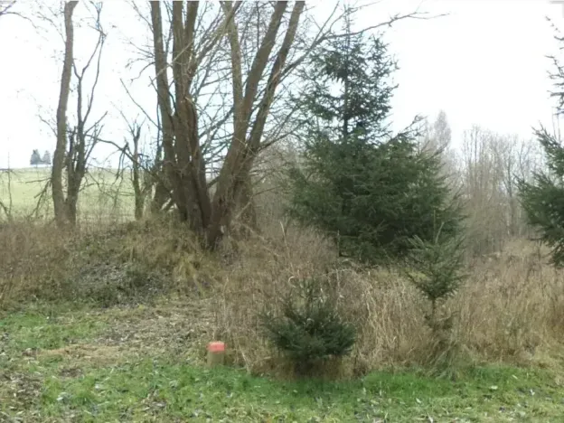 Dražba pozemku, 1390 m², Horní Planá