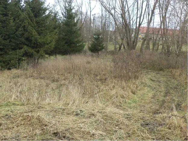 Dražba pozemku, Horní Planá, 1390 m2