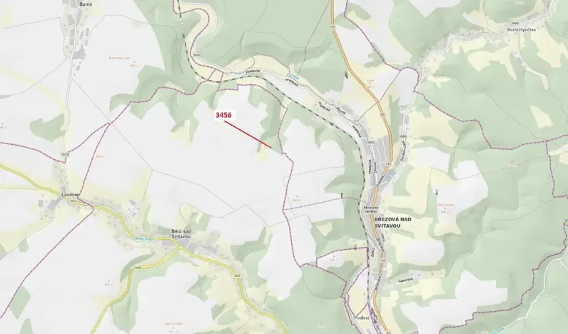 Dražba lesa, Bělá nad Svitavou, 212 m2